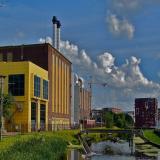 The Hague City plant