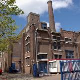 Leiden city plant
