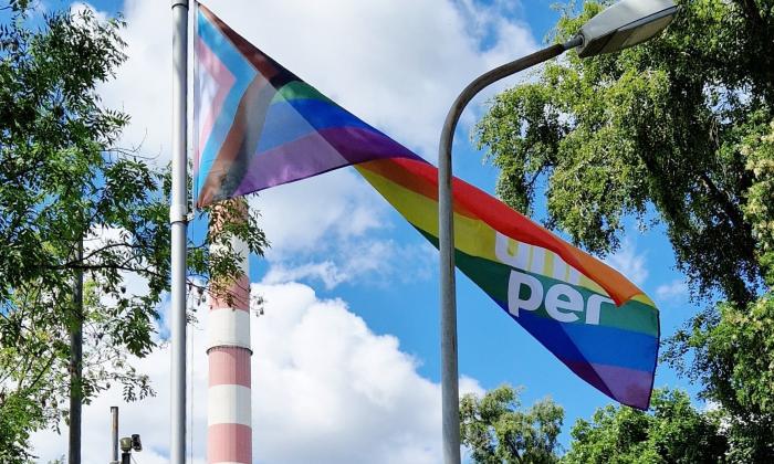 LGBT plant 2