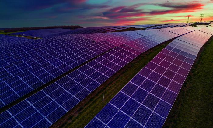 Solar farm renewables