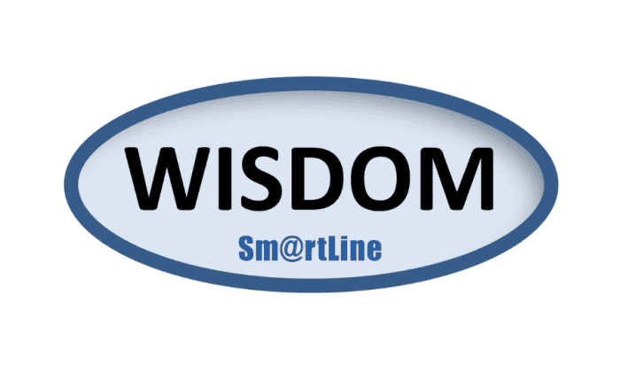 Wisdom Logo