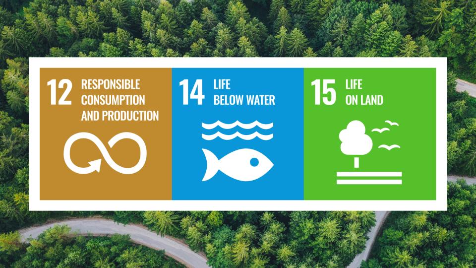 UN Goals-planet-protection