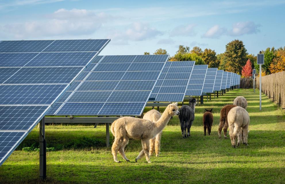 Sustainabilty