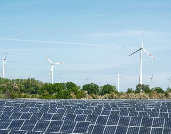 Renewable site