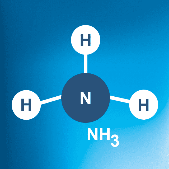 Ammonia II