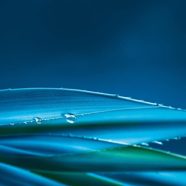 abstract image